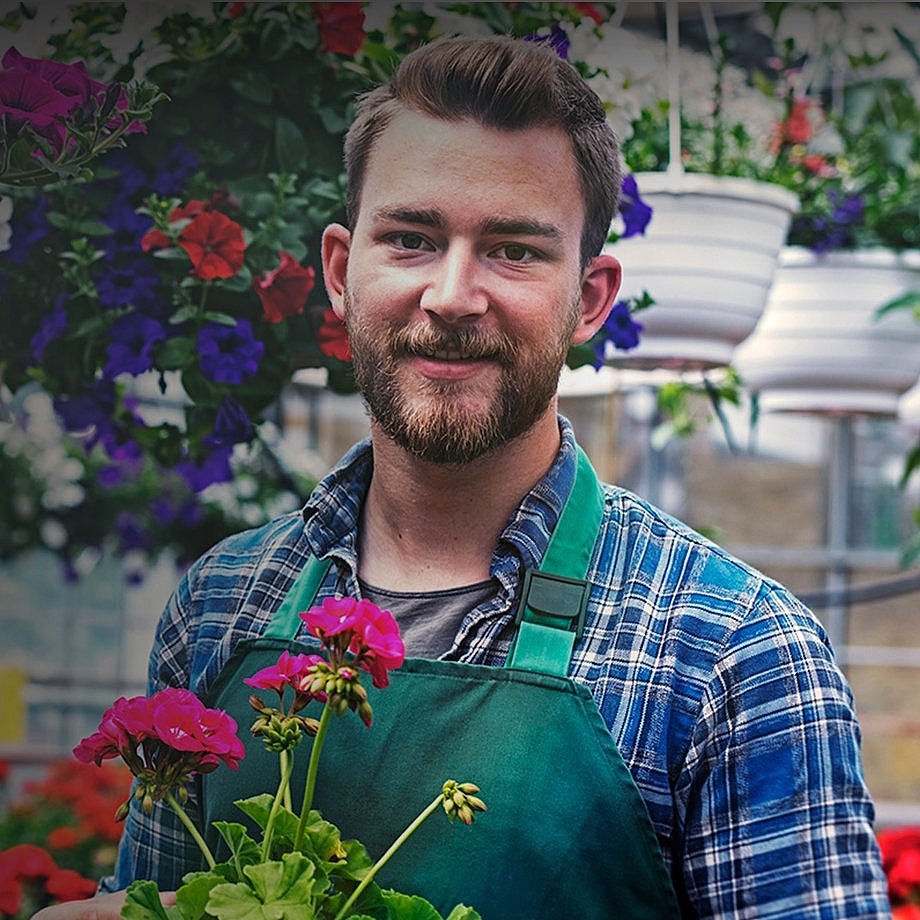 Gärtnereien Lächelnder Gärtner mit grüner Schürze und pinker Geranie in einem Gewächshaus voller Blumenampeln